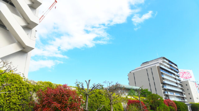 隅田川から敷地を見た写真